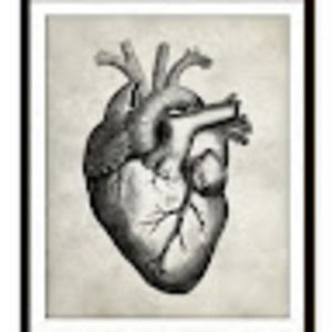 Meet your Posher, Leigh